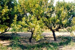 Εντονες αντιπαραθέσεις για τις αλλαγές στο καταστατικό